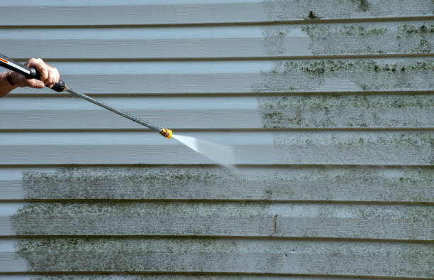 Best Attic Mold Remediation in Chico, TX